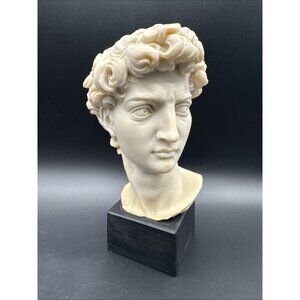 Michelangelo Vintage David Sculpture Bust Head Greek Sculpted Resin Art Statue